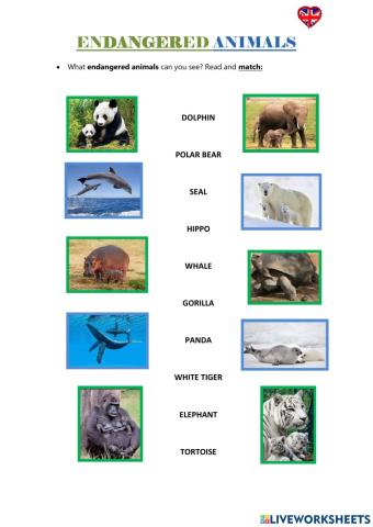 Endangered animals