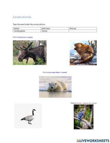 Canada Animals