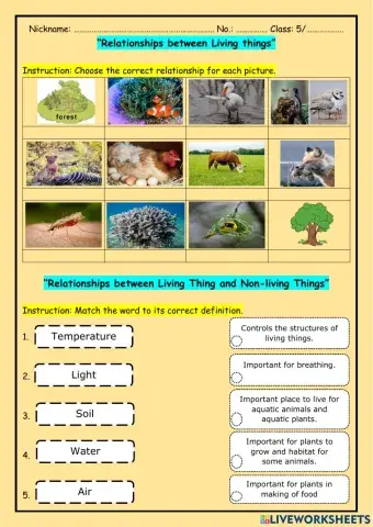 LT and NLT relationships