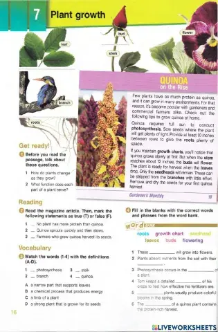 Agriculture-unit7-plant growth