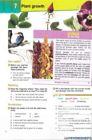 Agriculture-unit7-plant growth