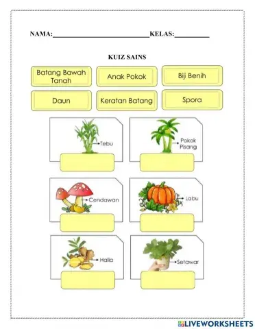 Kuiz sains dan matematik
