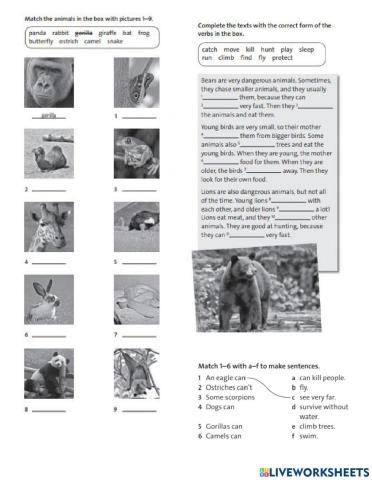 English Plus 1 - Practice unit 3