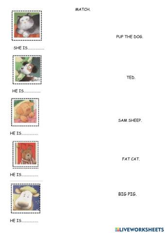 Sam sheep vocabulary