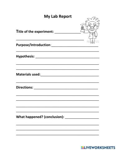 My lab report
