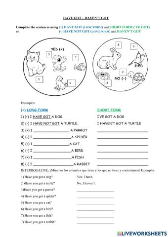 Have got - haven't got