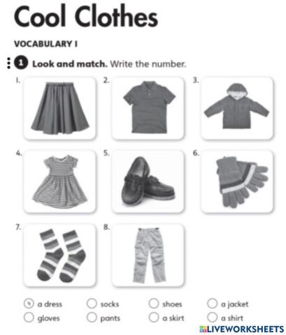 Vocabulary 1