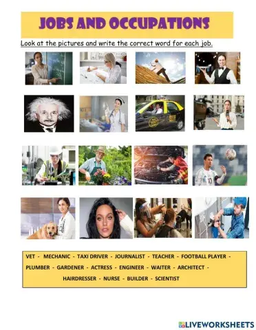 Jobs and occupations