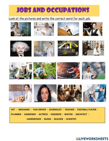 Jobs and occupations