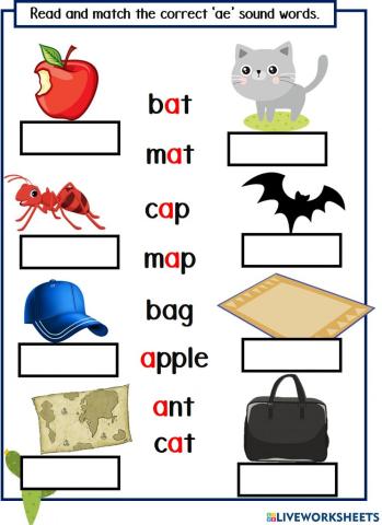 Ae sound words