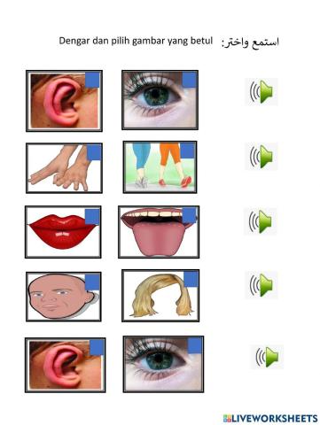 جسمي السلبم