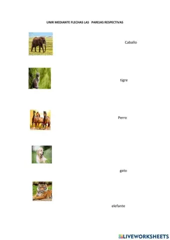 Relacionando figuras y nombtres