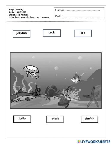 English PDPR 13.7.2021