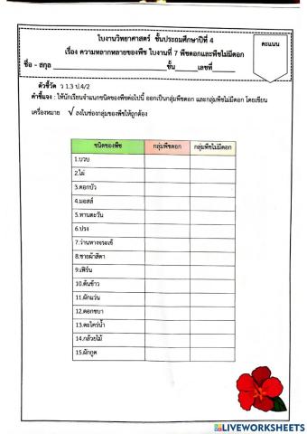 วิทยาศาสตร์