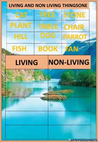 Living and non living things