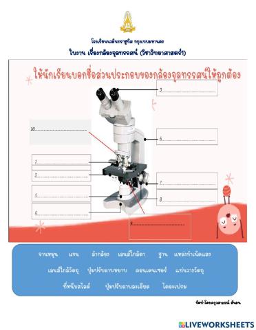 กล้องจุลทรรศน์