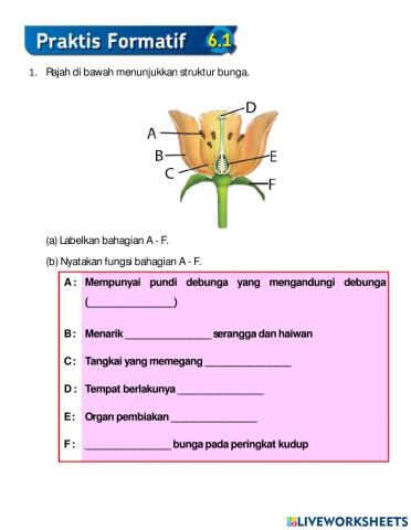 Praktis Formatif 6.1