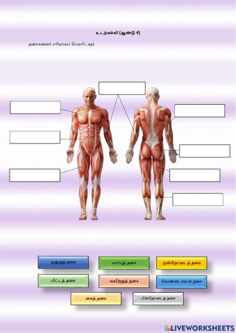 உறுதியும் வலிமையும்