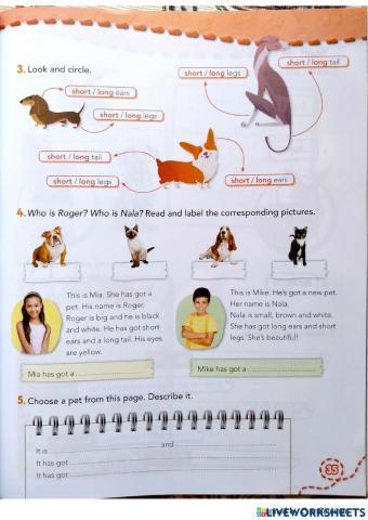Pets, house and prepositions