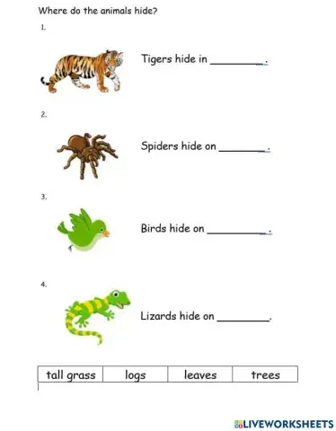 Where do the animals hide?