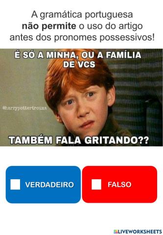 O uso dos artigos definidos