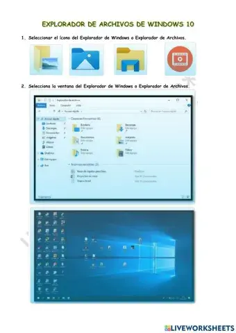 Explorador de archivos de windows