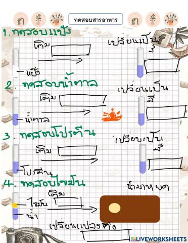 ทดสอบสารอาหาร