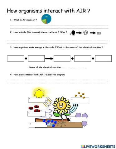 Interactions between organisms and air