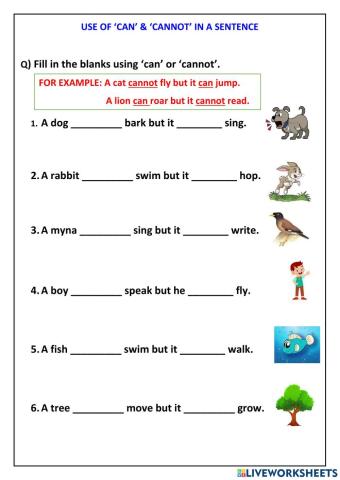 Use of can and cannot