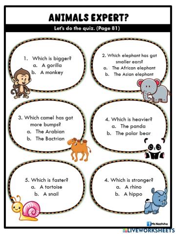 Module 8 : amazing animals