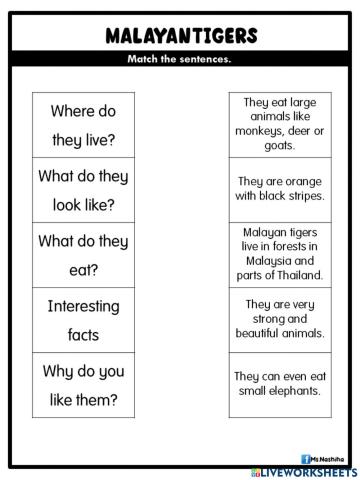 Module 8 : amazing animals