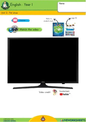 English Y1 - Pet show 3
