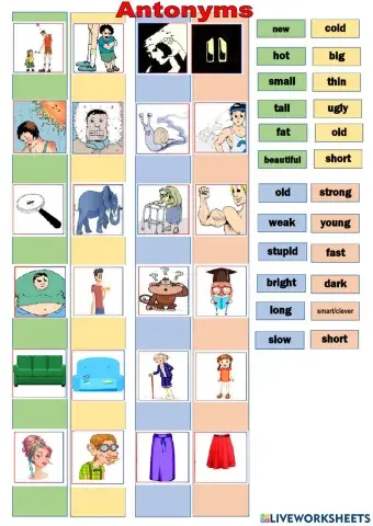 Antonyms