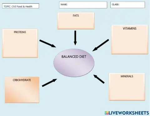  Function of Nutrients In Balanced Diet
