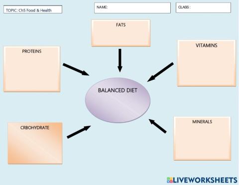 Function of Nutrients In Balanced Diet
