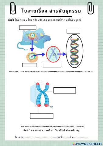 สารพันธุกรรม