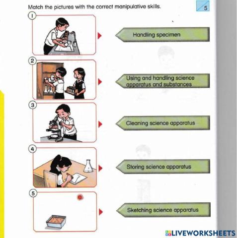 Mid -Year Assessment Science Year 2