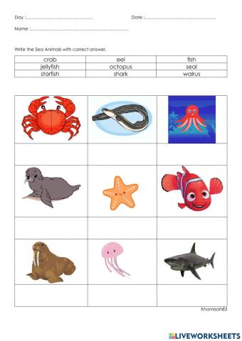 Sea animals