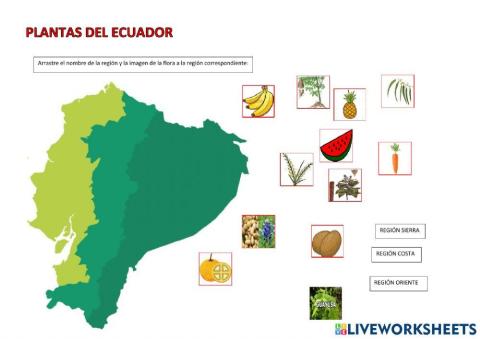 Plantas del ecuador