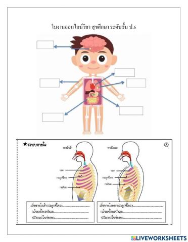ใบงานสุขศึกษา ป.6