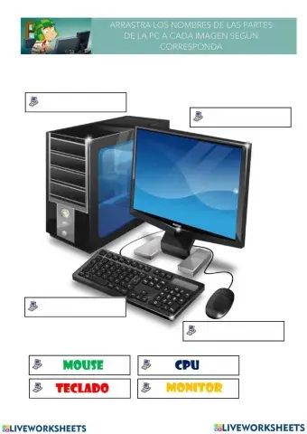 Partes de la computadora