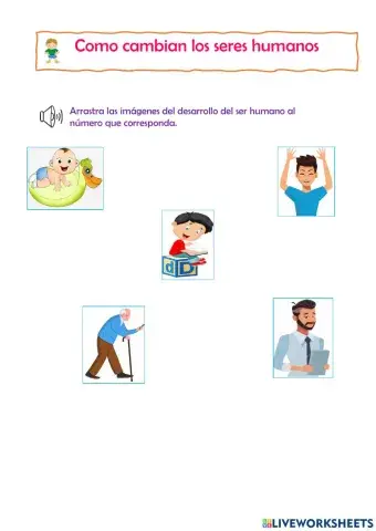 Desarrollo del ser humano