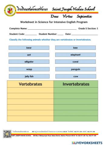 Classification of Animals based on Structures