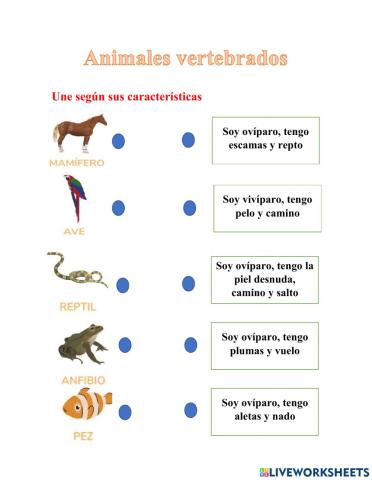 Animales vertebrados