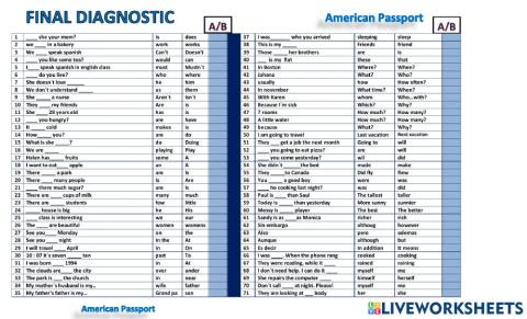 Total diagnostic. AMERPASSPORT