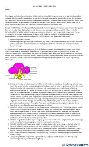Lkpd ipa