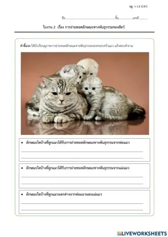 ลักษณะทางพันธุกรรมของสัตว์