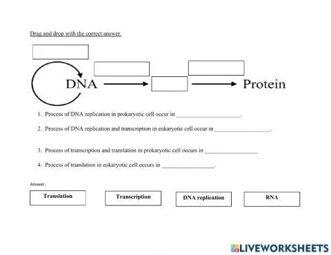 Central dogma