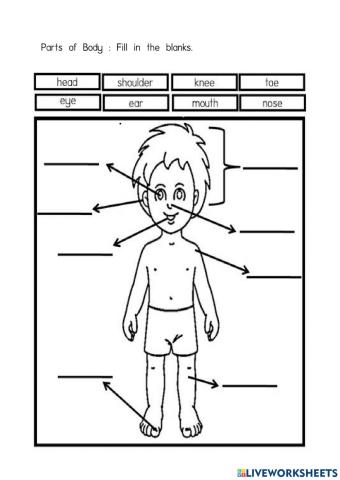 Parts of Body
