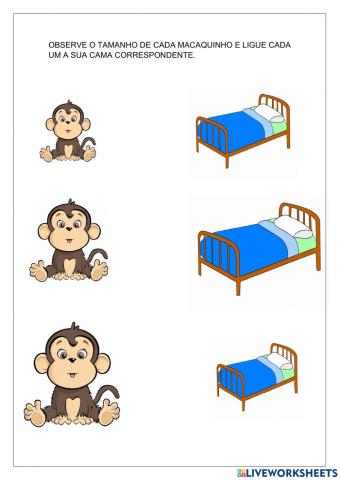 Ligar cada macaco a sua cama correspondente